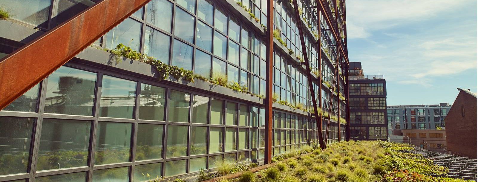 Atlantic Plumbing Green Roof 3rd Floor